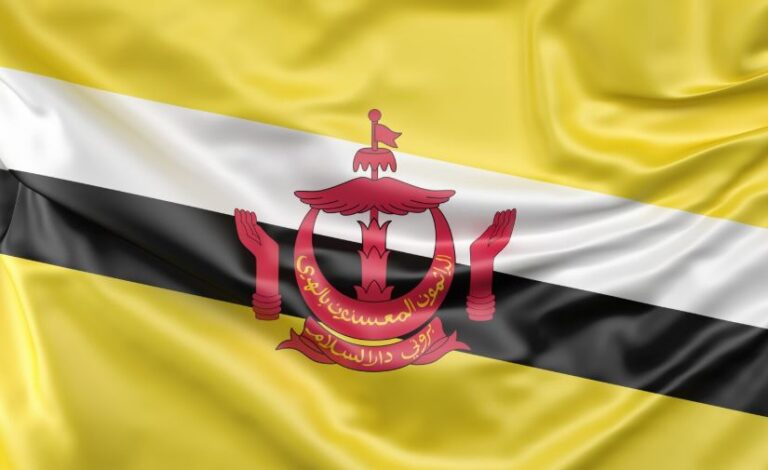 Brunei flag